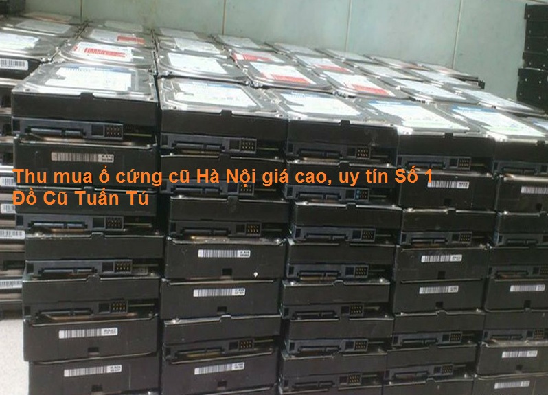 thu-mua-o-cung-cu-HN