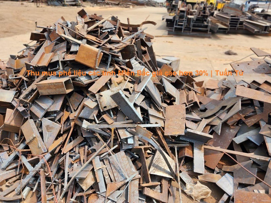 thu-mua-phe-lieu-tinh-mien-bac