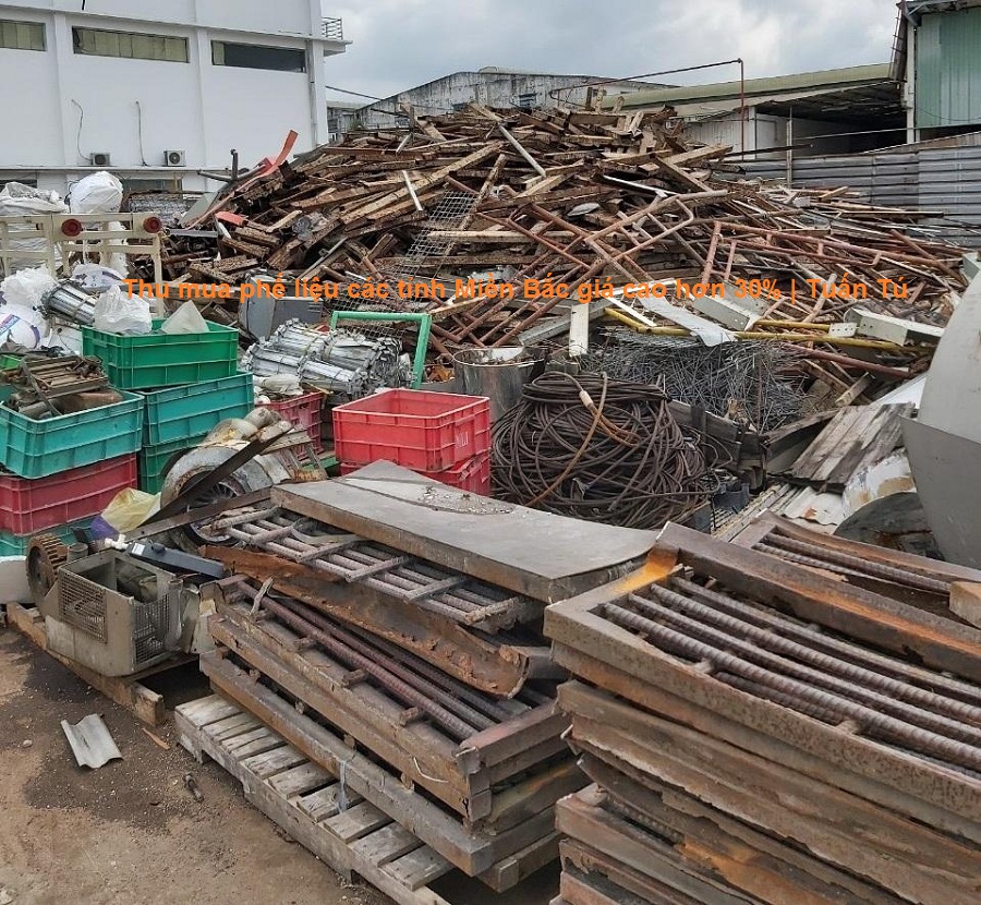 thu-mua-phe-lieu-tinh-mien-bac2