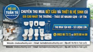 mua-bet-cau-cu